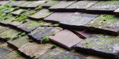 Newquay roof repair costs